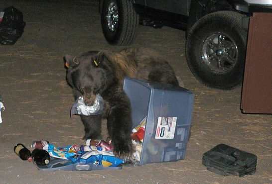 grizzly_no_zarges.PNG grizzly_no_zarges.PNG